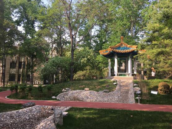 BETVLCTOR伟德在线