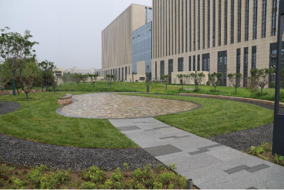 BETVLCTOR伟德在线