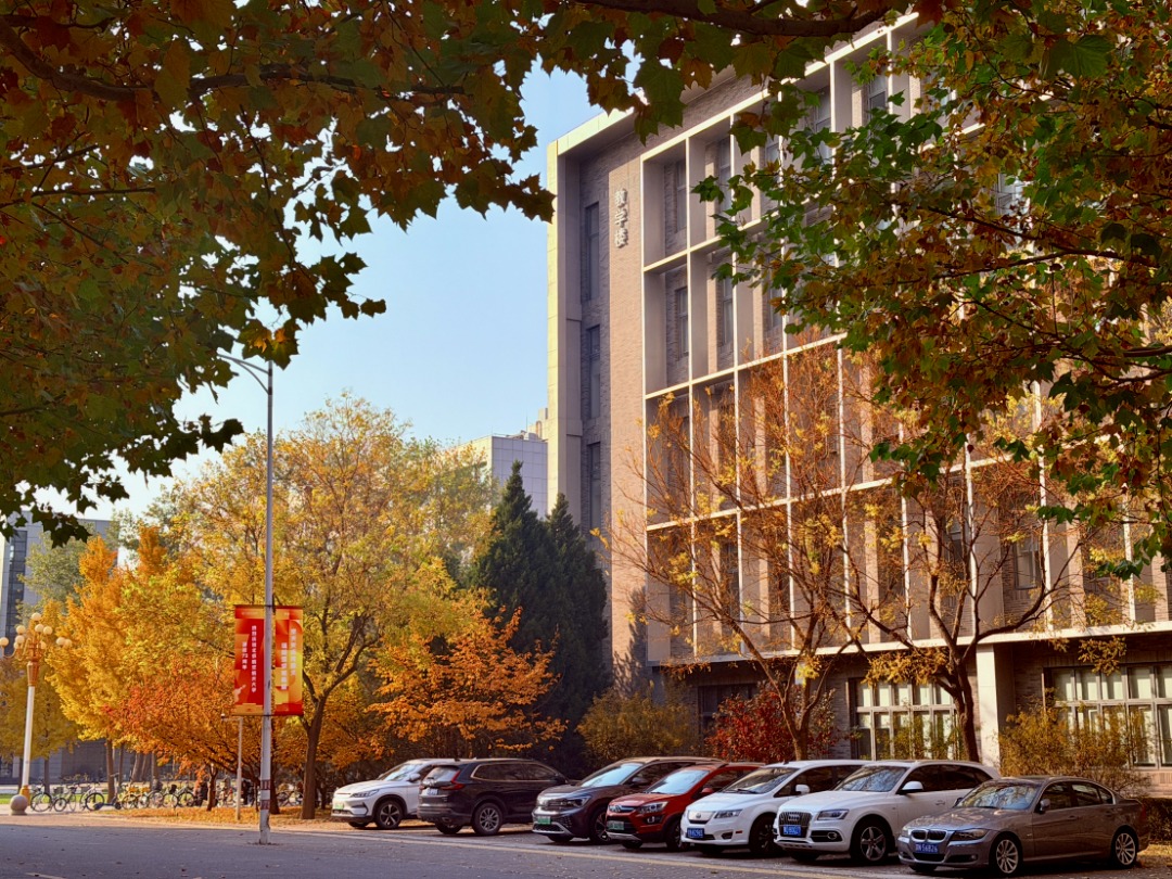 BETVLCTOR伟德在线