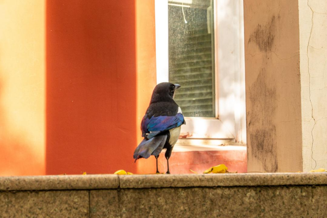 BETVLCTOR伟德在线