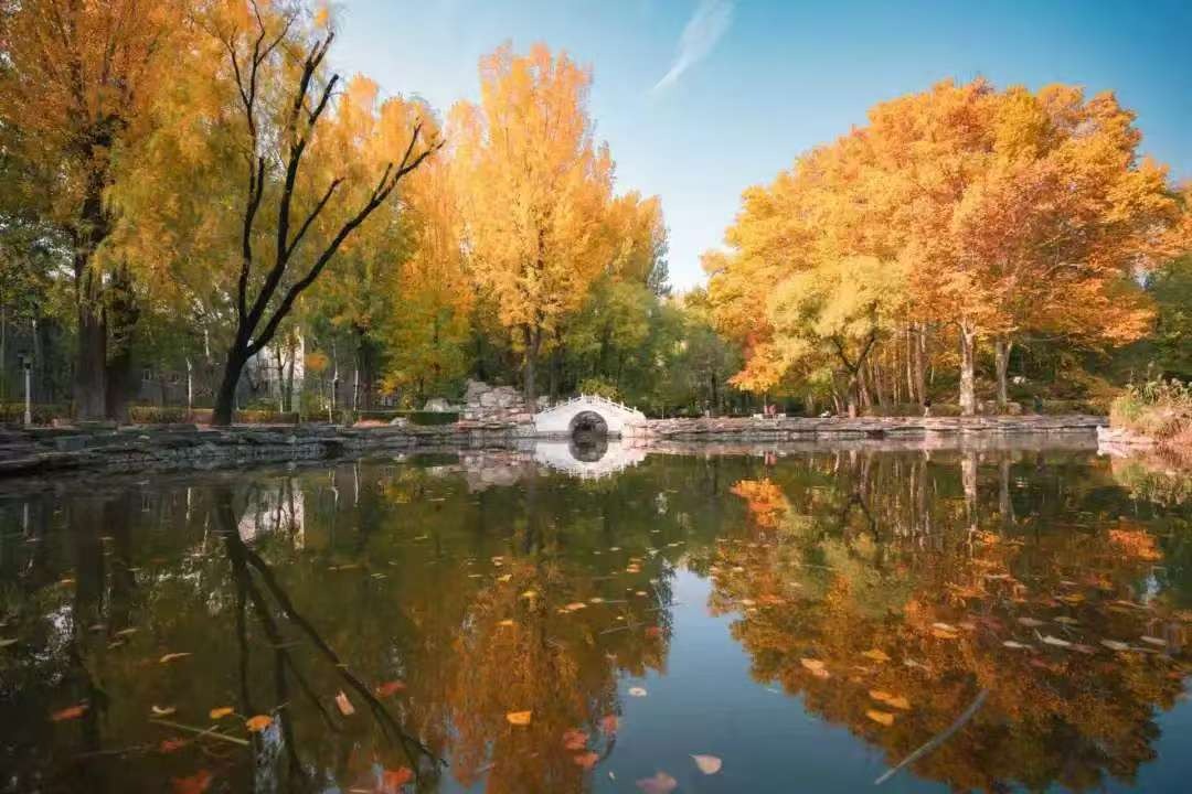 BETVLCTOR伟德在线