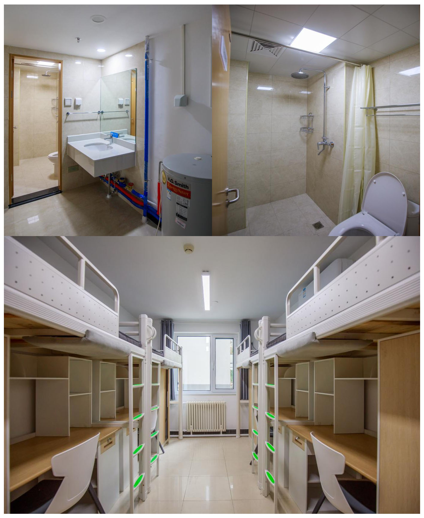 BETVLCTOR伟德在线