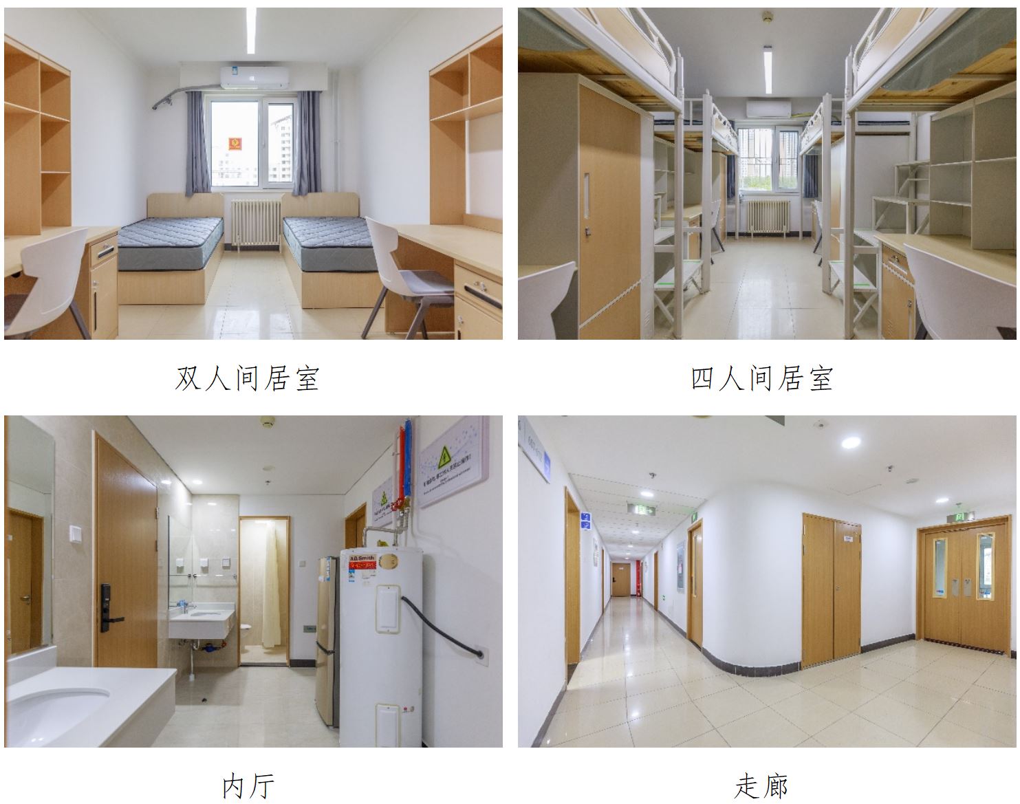 BETVLCTOR伟德在线