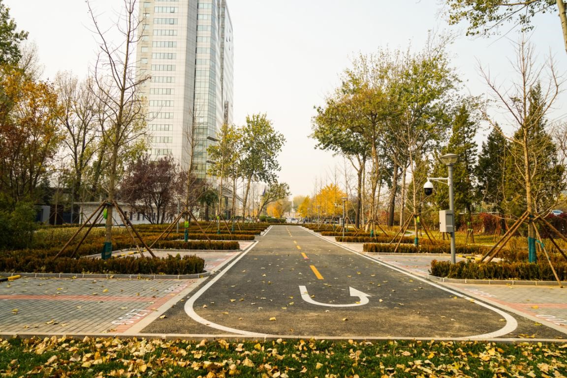 BETVLCTOR伟德在线